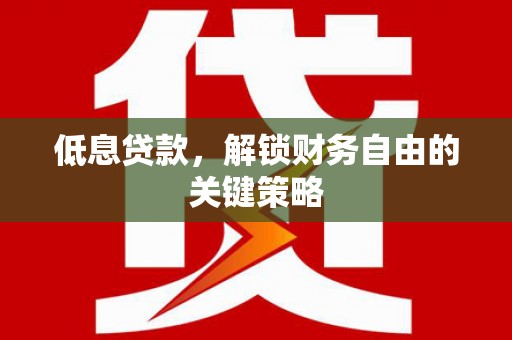 天峨低息贷款，解锁财务自由的关键策略