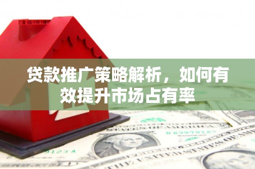 天峨贷款推广策略解析，如何有效提升市场占有率