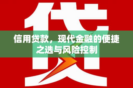 天峨信用贷款，现代金融的便捷之选与风险控制