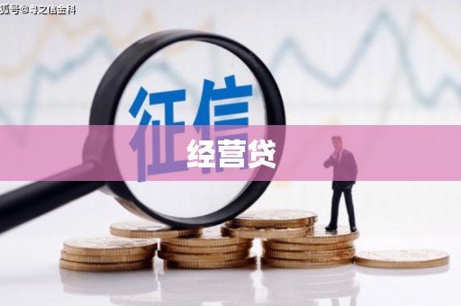 天峨经营贷