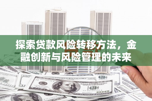 天峨探索贷款风险转移方法，金融创新与风险管理的未来