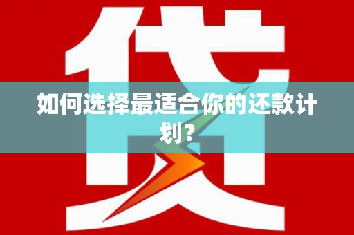 天峨如何选择最适合你的还款计划？