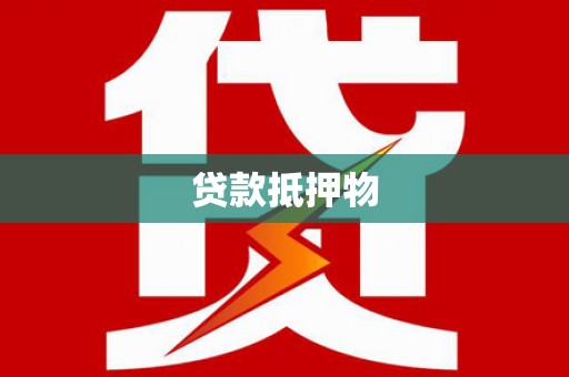 天峨贷款抵押物