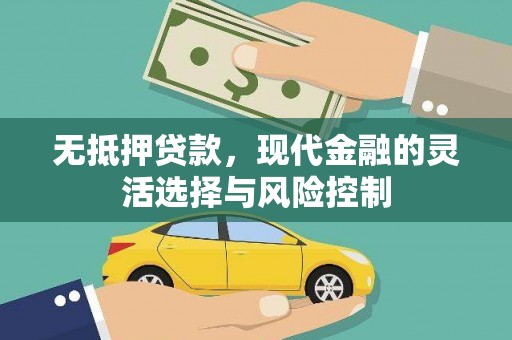 天峨无抵押贷款，现代金融的灵活选择与风险控制