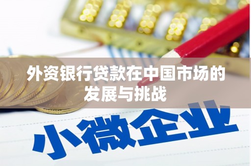 天峨外资银行贷款在中国市场的发展与挑战