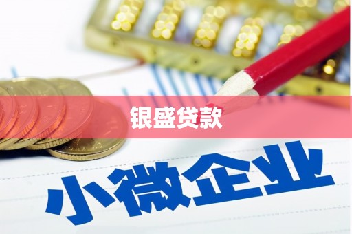 天峨银盛贷款