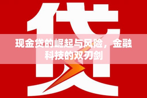 天峨现金贷的崛起与风险，金融科技的双刃剑