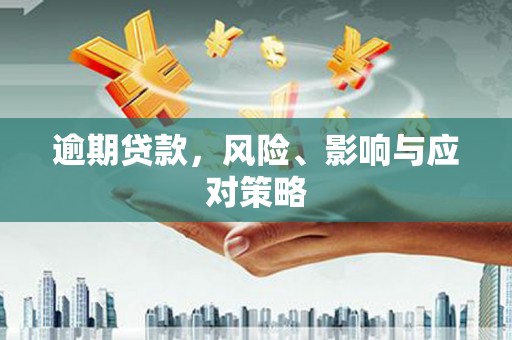 天峨逾期贷款，风险、影响与应对策略