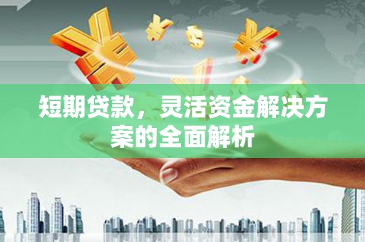 天峨短期贷款，灵活资金解决方案的全面解析