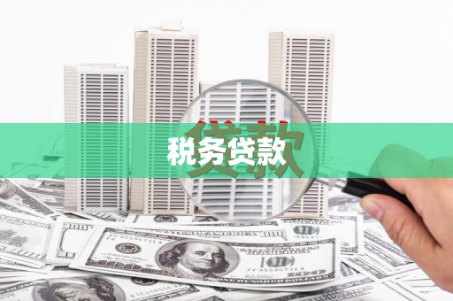 天峨税务贷款