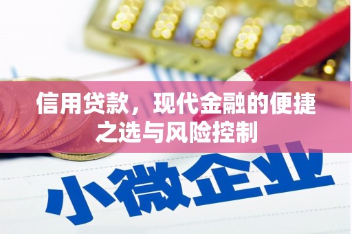 天峨信用贷款，现代金融的便捷之选与风险控制