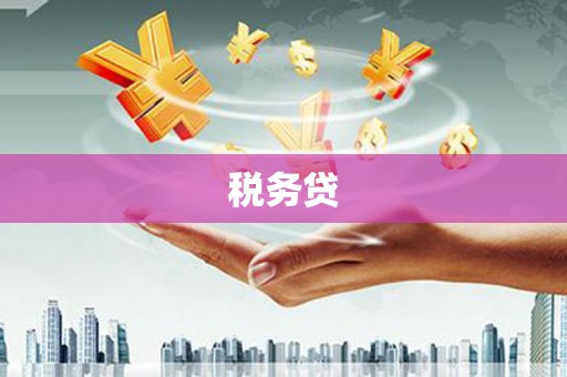 天峨税务贷