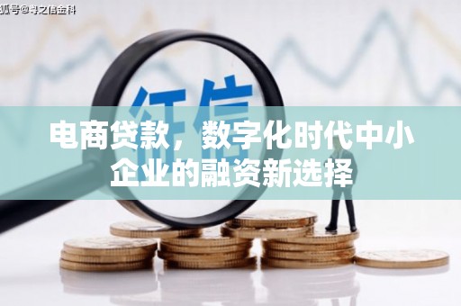 天峨电商贷款，数字化时代中小企业的融资新选择
