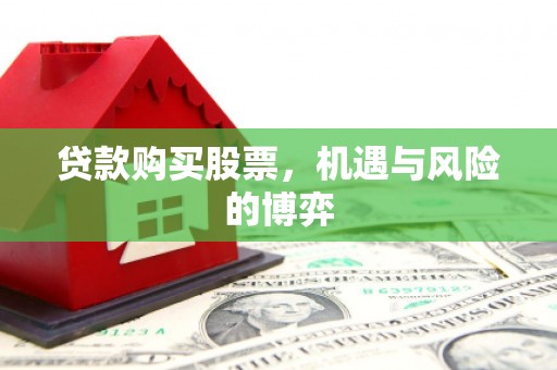 天峨贷款购买股票，机遇与风险的博弈