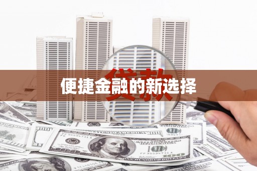 天峨便捷金融的新选择