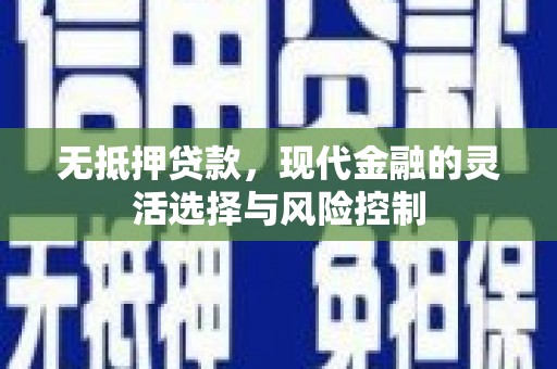 天峨无抵押贷款，现代金融的灵活选择与风险控制