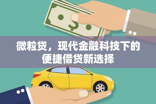 天峨微粒贷，现代金融科技下的便捷借贷新选择