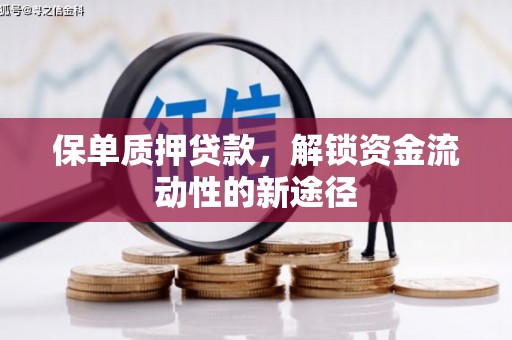 天峨保单质押贷款，解锁资金流动性的新途径