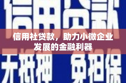天峨信用社贷款，助力小微企业发展的金融利器