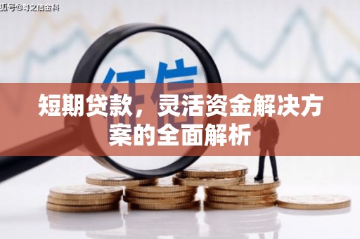 天峨短期贷款，灵活资金解决方案的全面解析