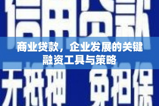 天峨商业贷款，企业发展的关键融资工具与策略
