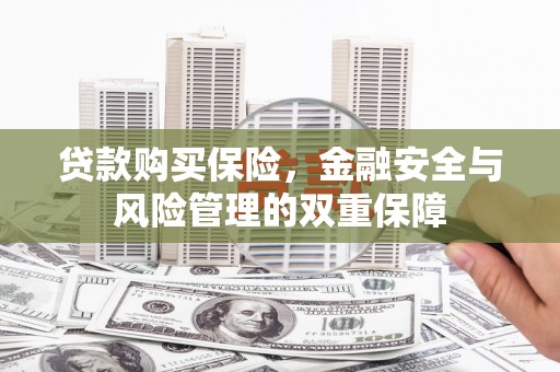 天峨贷款购买保险，金融安全与风险管理的双重保障