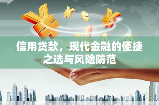 天峨信用贷款，现代金融的便捷之选与风险防范
