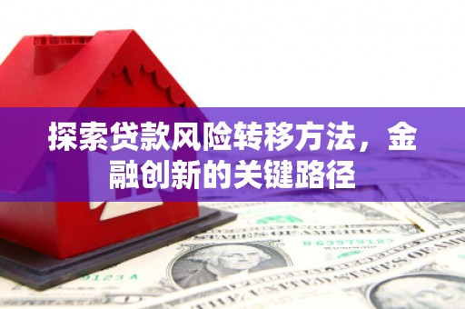 天峨探索贷款风险转移方法，金融创新的关键路径