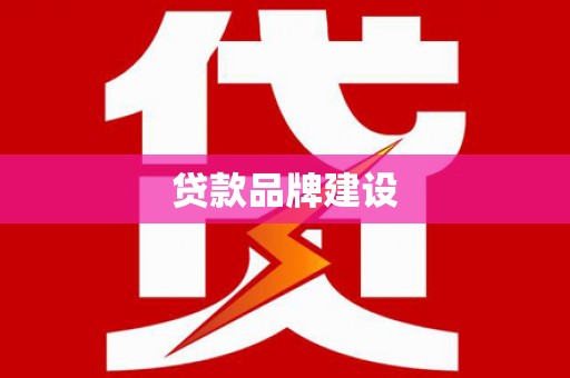 天峨贷款品牌建设