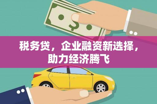 天峨税务贷，企业融资新选择，助力经济腾飞