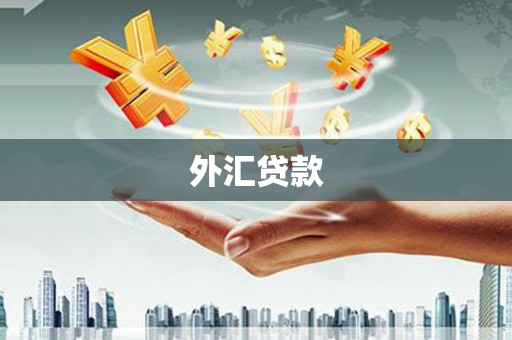 天峨外汇贷款