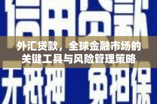 天峨外汇贷款，全球金融市场的关键工具与风险管理策略