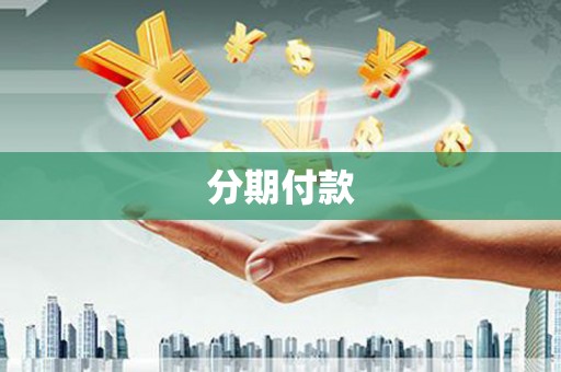 天峨分期付款