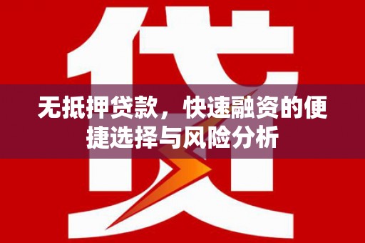 天峨无抵押贷款，快速融资的便捷选择与风险分析