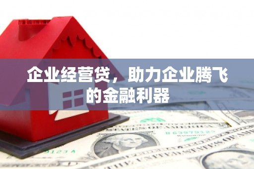 天峨企业经营贷，助力企业腾飞的金融利器