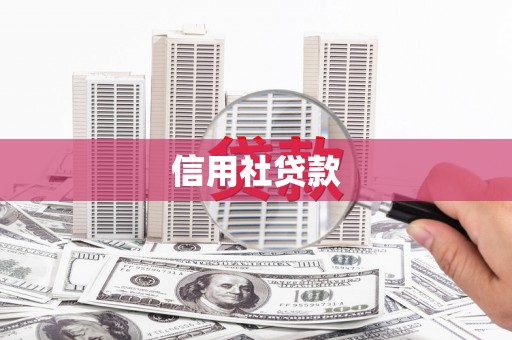 天峨信用社贷款