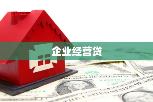 天峨企业经营贷