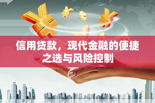 天峨信用贷款，现代金融的便捷之选与风险控制