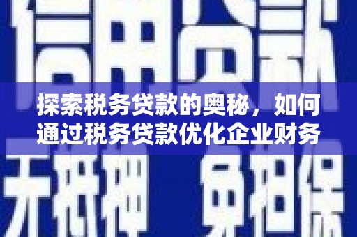 天峨探索税务贷款的奥秘，如何通过税务贷款优化企业财务