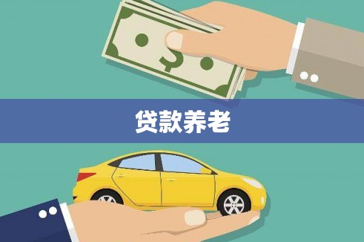 天峨贷款养老