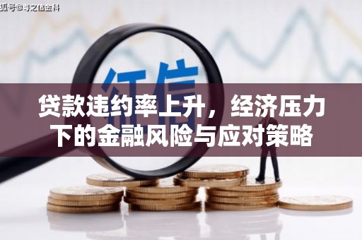天峨贷款违约率上升，经济压力下的金融风险与应对策略