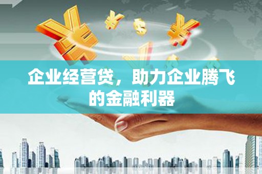 天峨企业经营贷，助力企业腾飞的金融利器