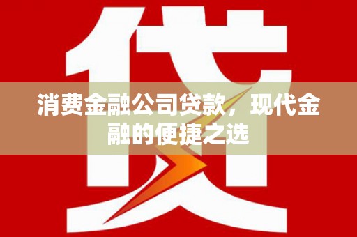 天峨消费金融公司贷款，现代金融的便捷之选