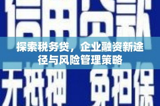 天峨探索税务贷，企业融资新途径与风险管理策略
