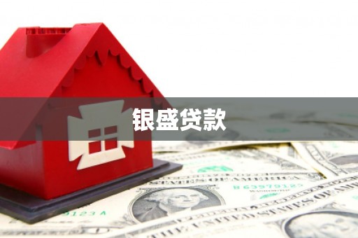 天峨银盛贷款