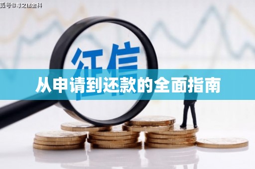 天峨从申请到还款的全面指南