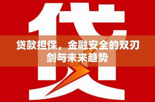 天峨贷款担保，金融安全的双刃剑与未来趋势