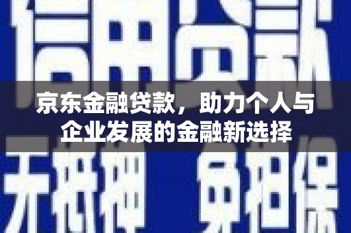 天峨京东金融贷款，助力个人与企业发展的金融新选择