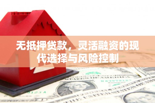 天峨无抵押贷款，灵活融资的现代选择与风险控制