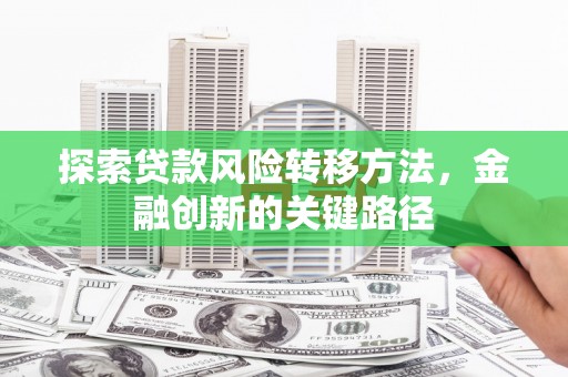 天峨探索贷款风险转移方法，金融创新的关键路径